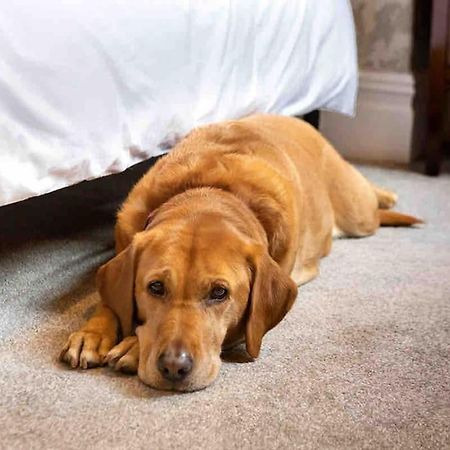 The Stanley Suite 1 Bedroom Apt Dog Friendly Patio Harrogate Buitenkant foto